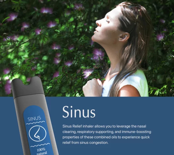 Sinus (Wholesale 12 Case)